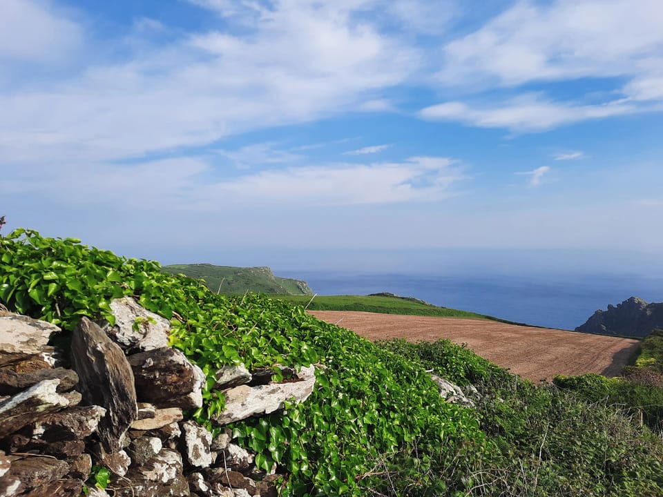 Surrounding area | The Shippen, East Prawle