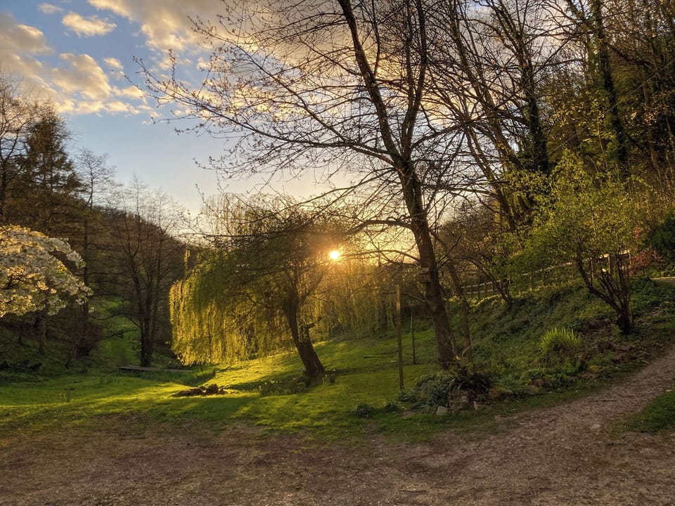 Garden | Driftcombe Farmhouse, Bisley