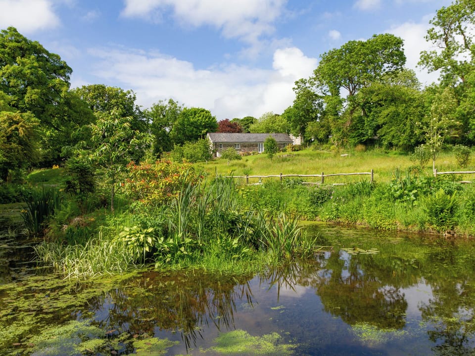 Pond and Meadow | Drovers, Advent