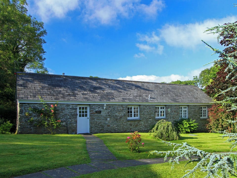 Front Lawn | Drovers, Advent