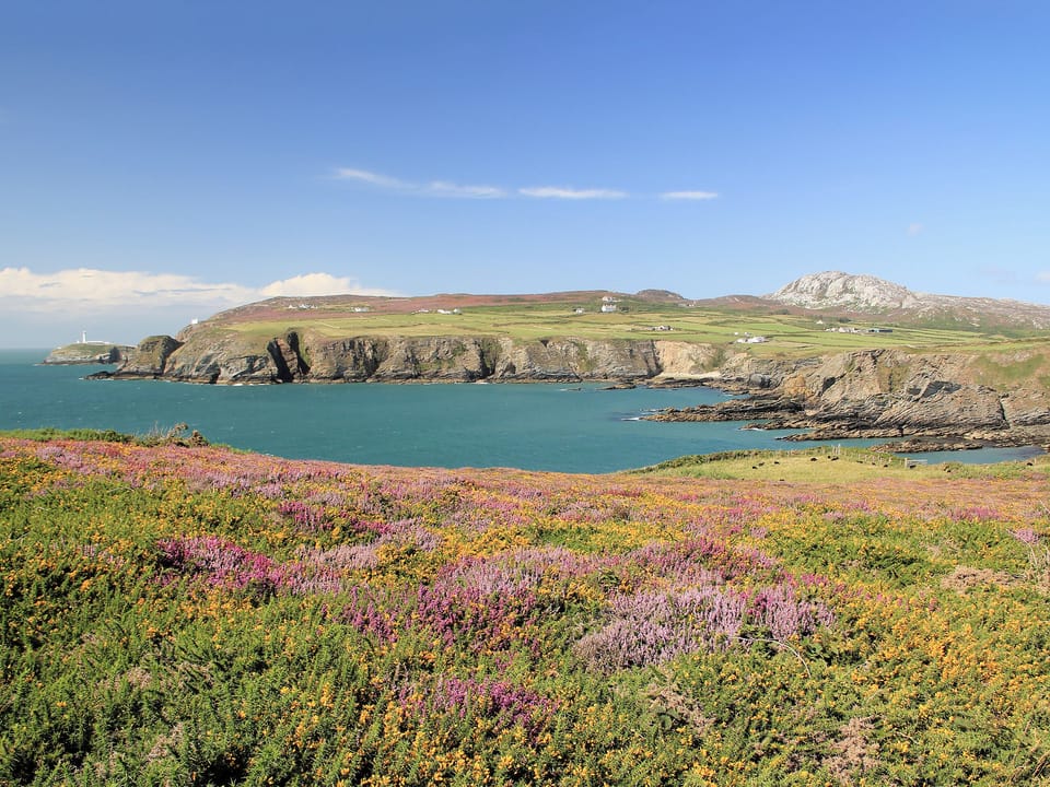 View of South Stack lighthouse and Holyhead Mountain | Fferam Gorniog, Holyhead Mountain, near Trearddur Bay