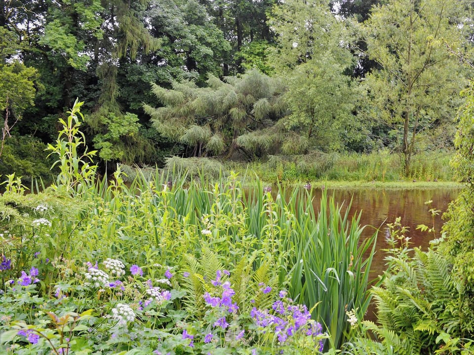 Peaceful surrounding countryside | Langcliffe Lock Cottage, Langcliffe, near Settle