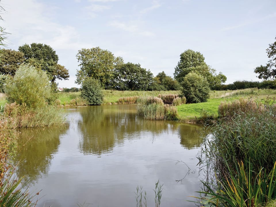 The lake | Dill, Catfield