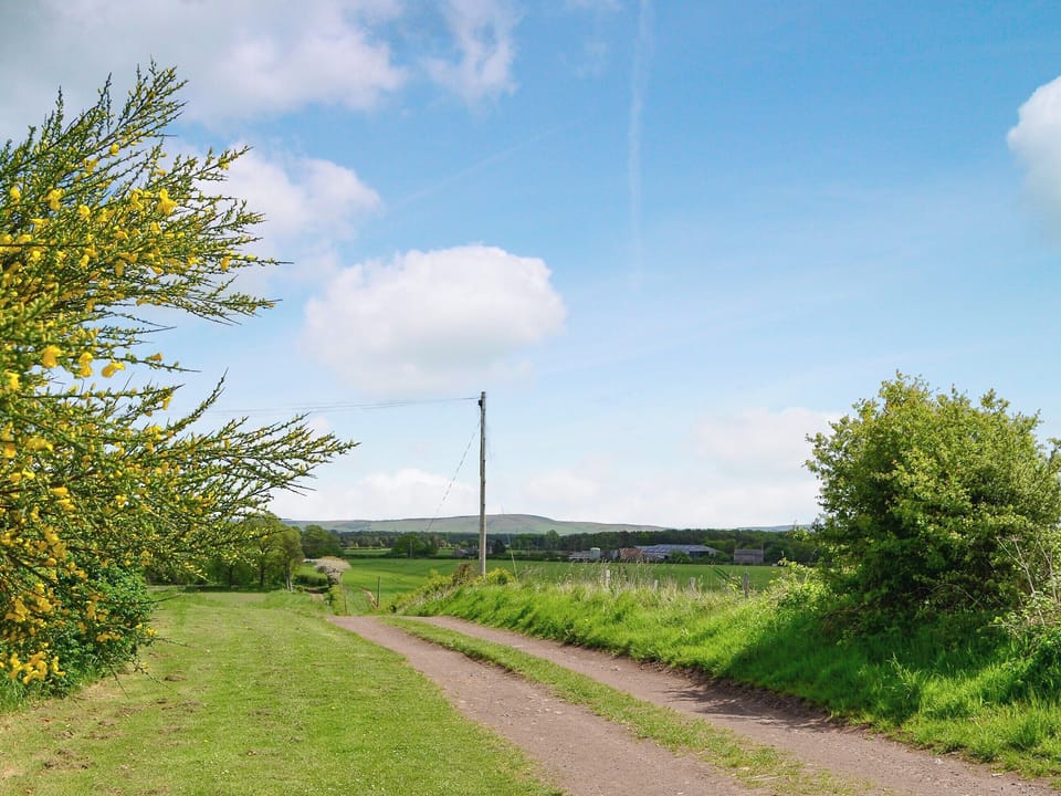 Scenic surrounding countryside | Sandyhouse Cottage, Milfield, near Wooler