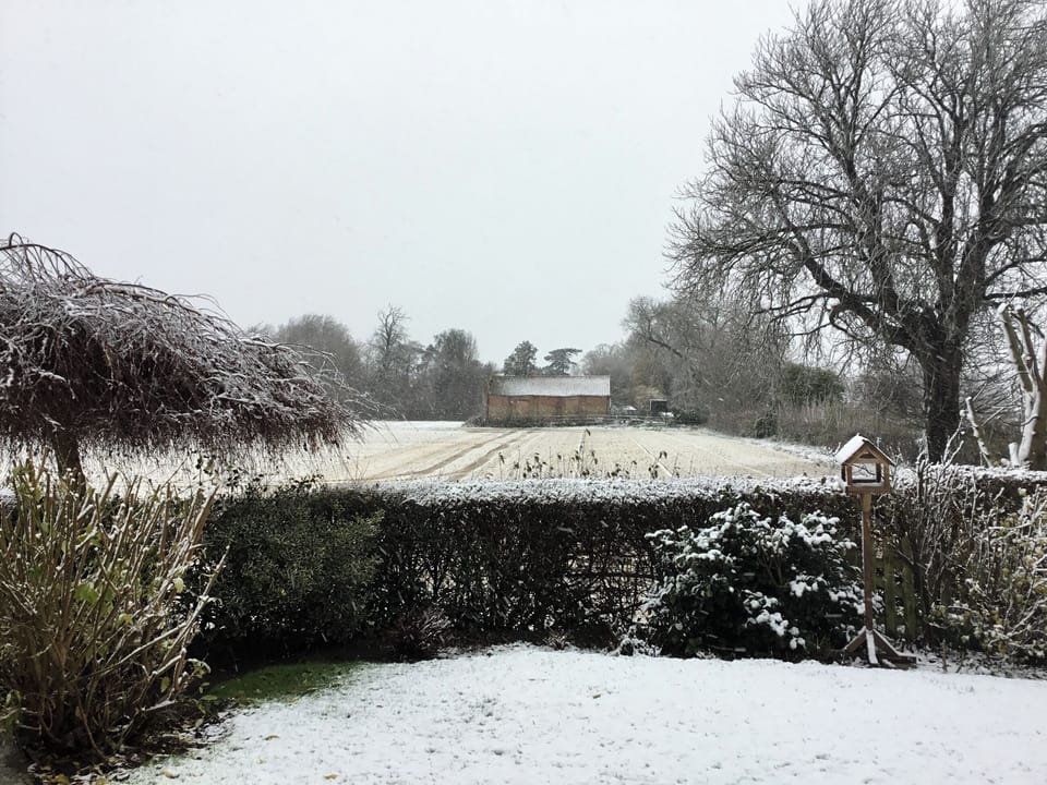 View | Greenbank Cottage, Ten Mile Bank, near Downham Market