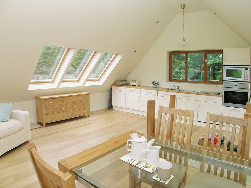 Open plan living/dining room/kitchen | Wadadli Lodge, Ivybridge