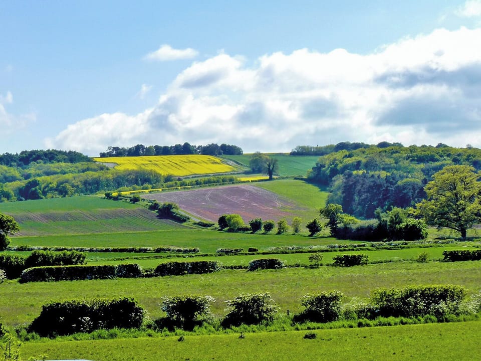 View | Wold View Cottage, Thorpe Bassett, near Malton
