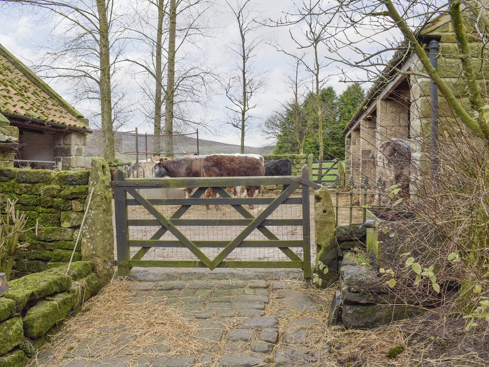 Working farmyard | Threshing Barn - Red House Farm Cottages, Glaisdale, near Whitby