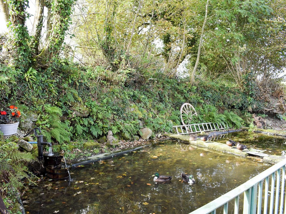 Fenced pond in grounds | The Granary, The Cottage, The Stables - Cefnllaethdre, Glynarthen, near Cardigan