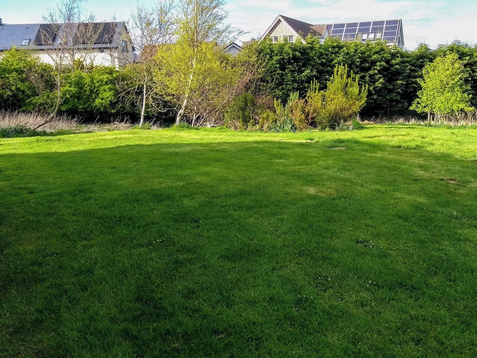 Garden | Stonebank House, Lamberton, near Berwick