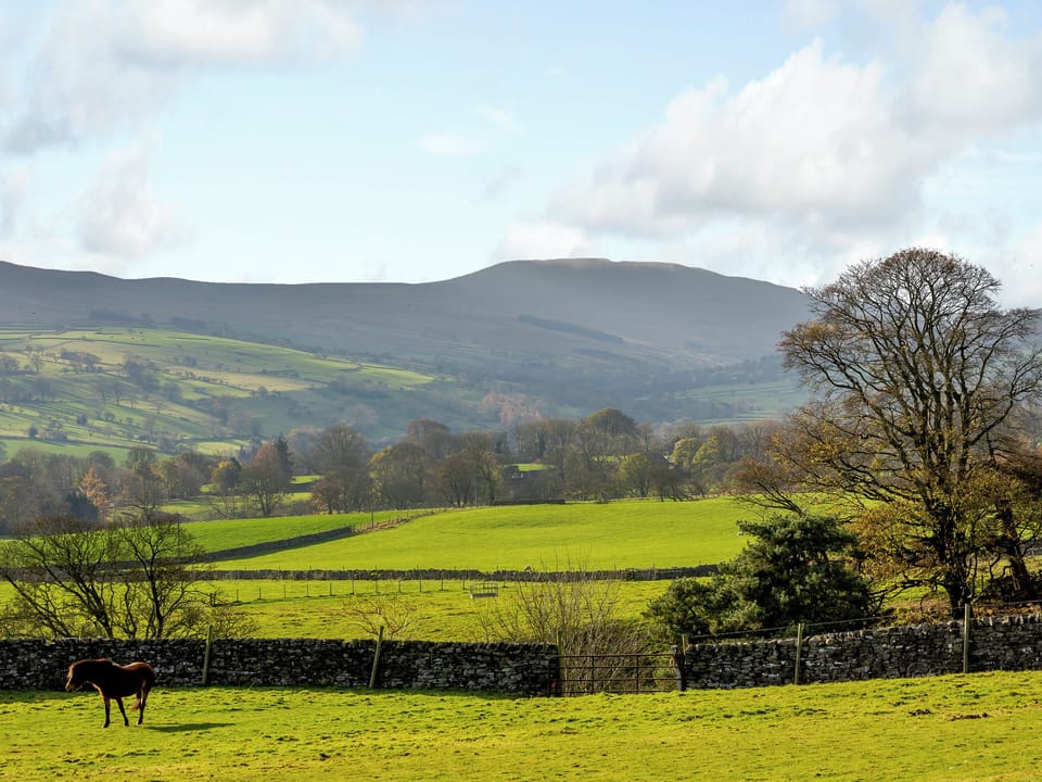View | Griff Head Cottage - Town Head, Melmerby, near Coverdale