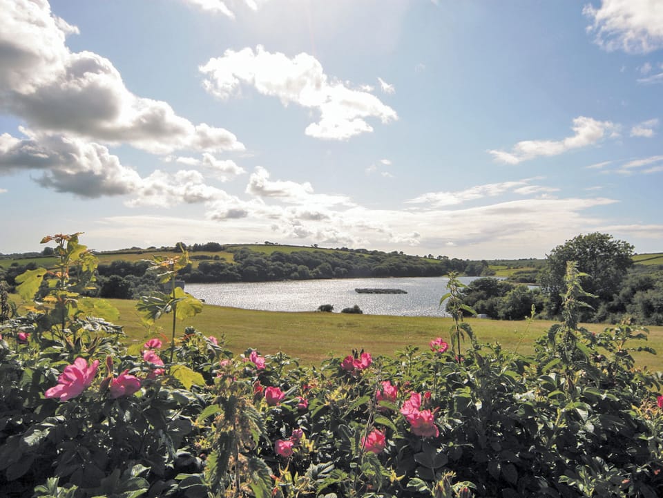 Ty Clyd, Clarbeston Road