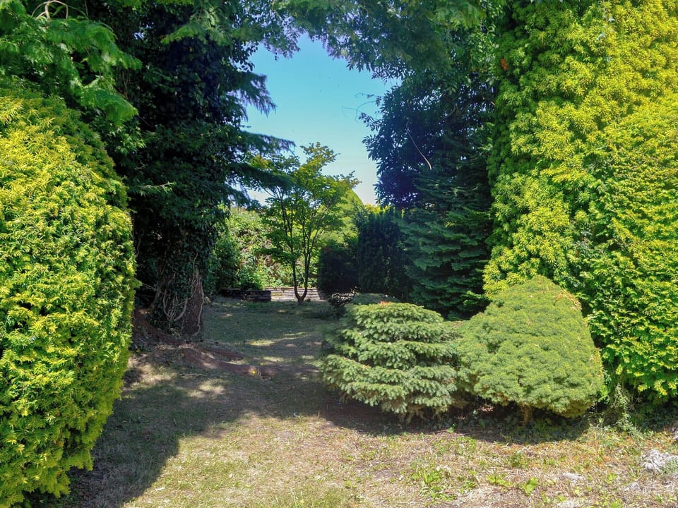 Garden and grounds | Ty Draw, Garnant, near Ammanford