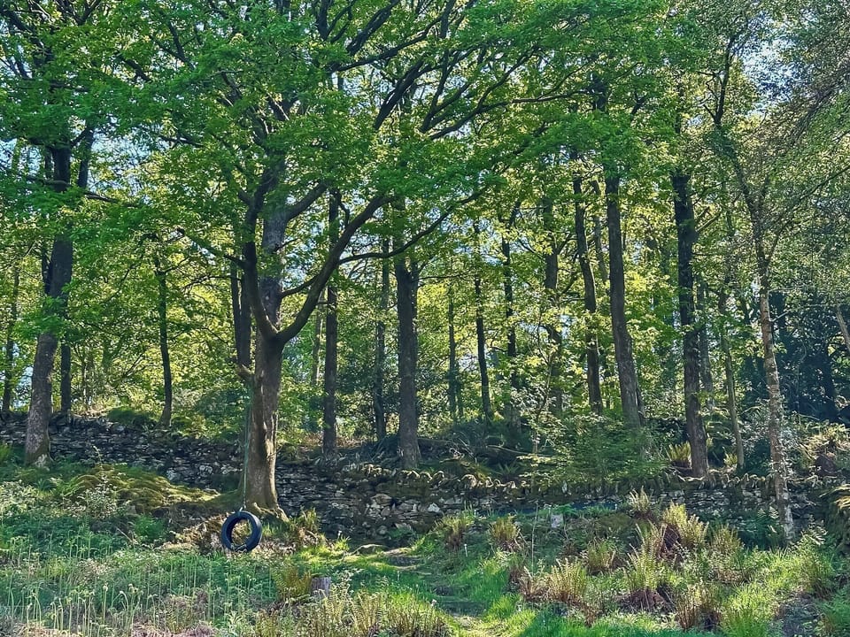 Rugged garden area | Tower View, Beech Hill, near Bowness-on-Windermere