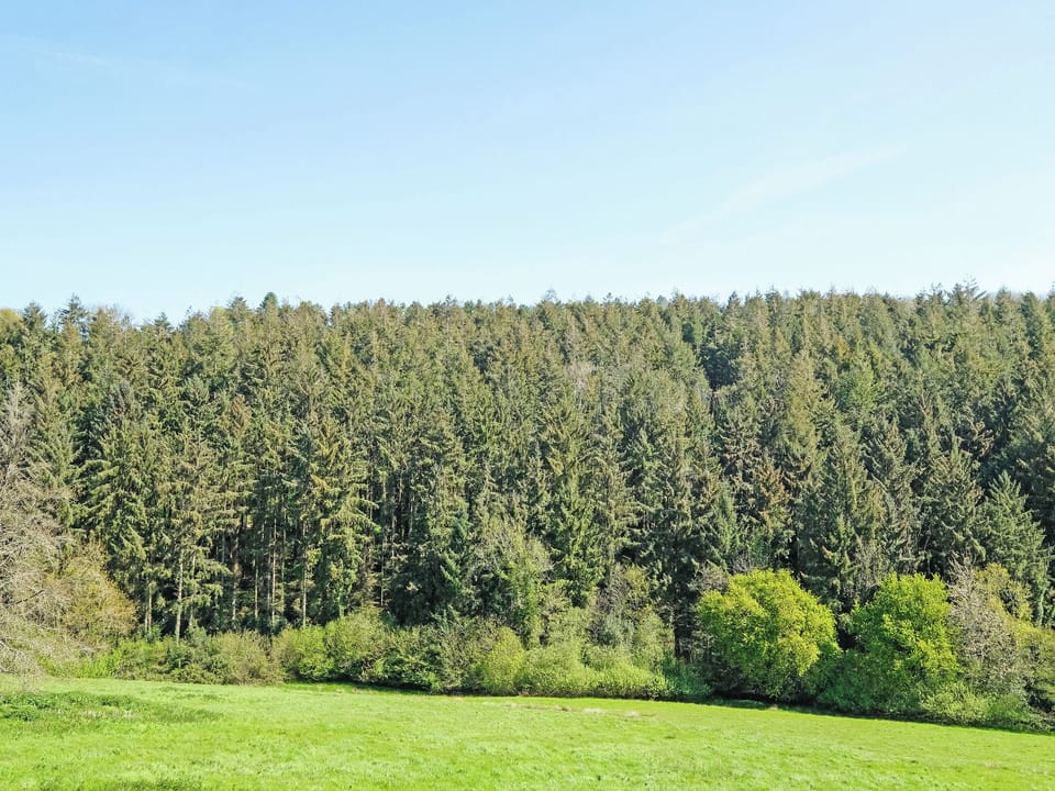 Surrounding area | Clock Cottage - Rockenhayne Farmstead, Branscombe