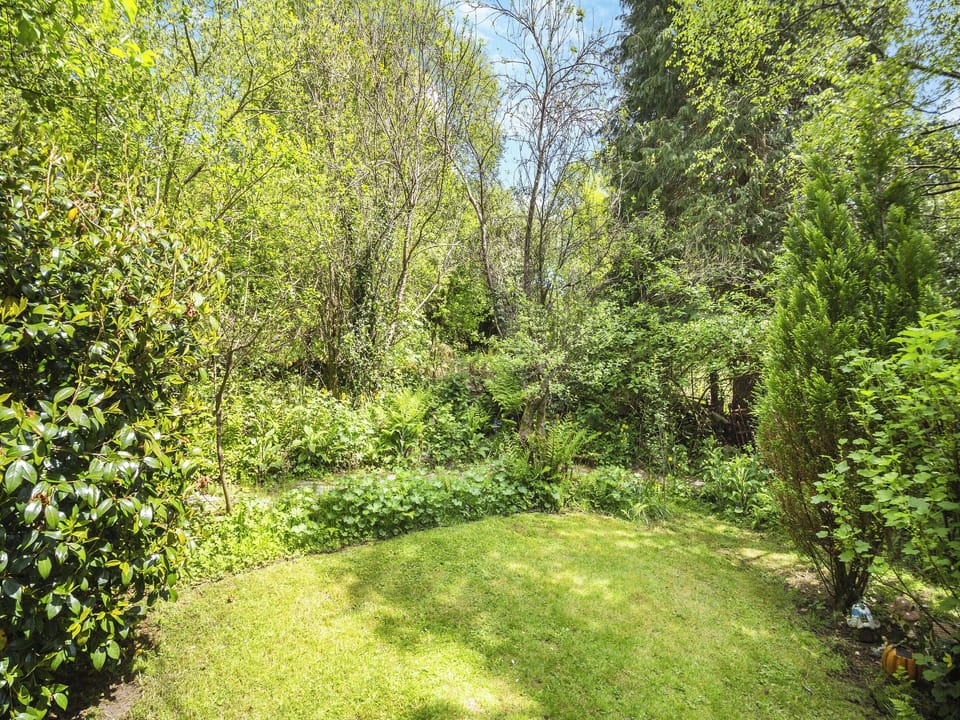 Garden | Cartref, Capel Curig, Betws-y-Coed
