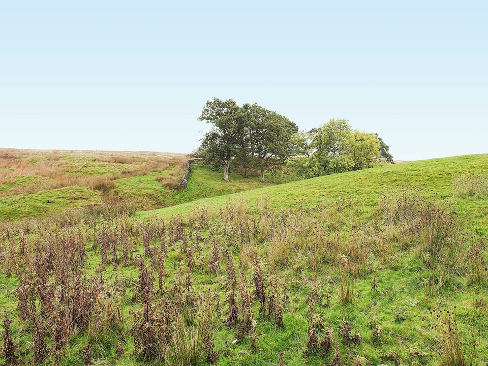 Surrounding area | The Old Chapel, Baldersdale, nr. Barnard Castle