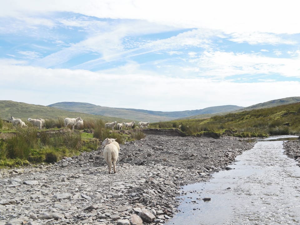 Surrounding area | Llechwedd Mawr, Talybont, nr. Aberystwyth