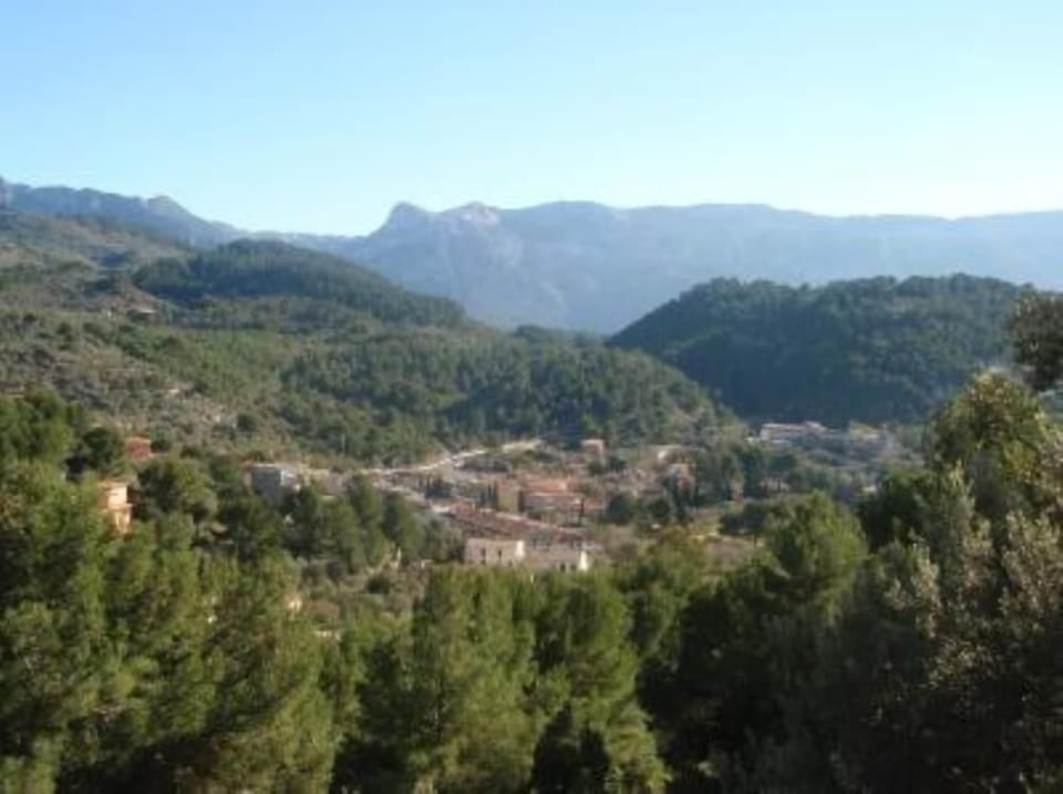 Mountain view