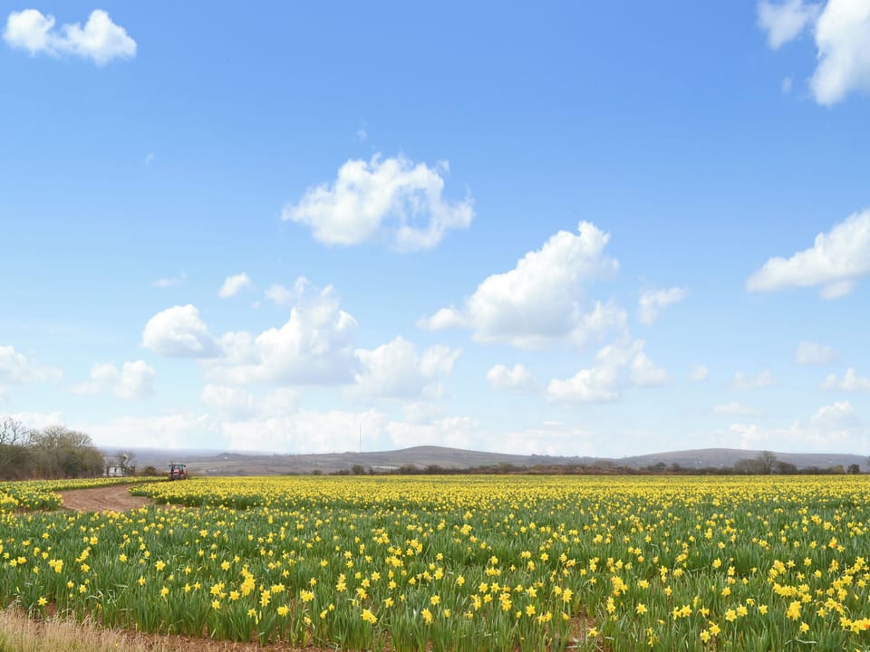 Wonderful views | The Paddock, Near Marazion
