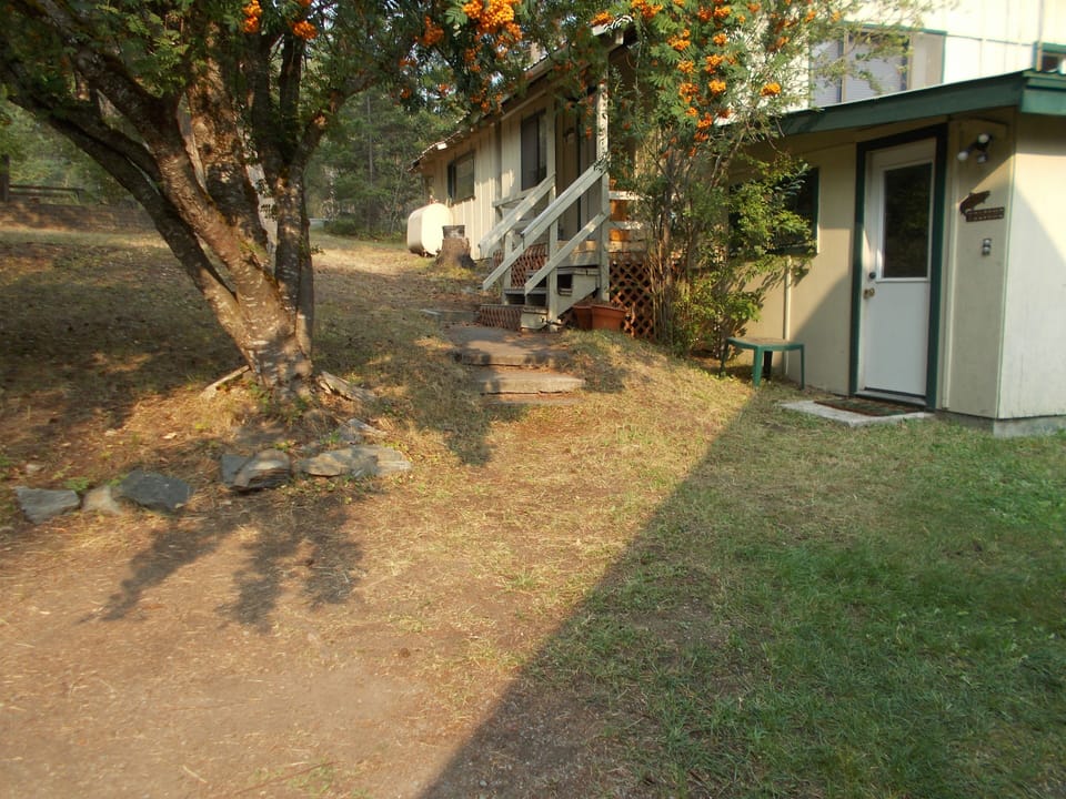 The Cabin.