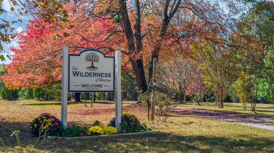 You've arrived at The Wilderness of Mentone.