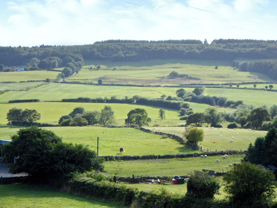 View | Ellis Close Farm - Swallows Nest, Harwood Dale, nr. Scarborough