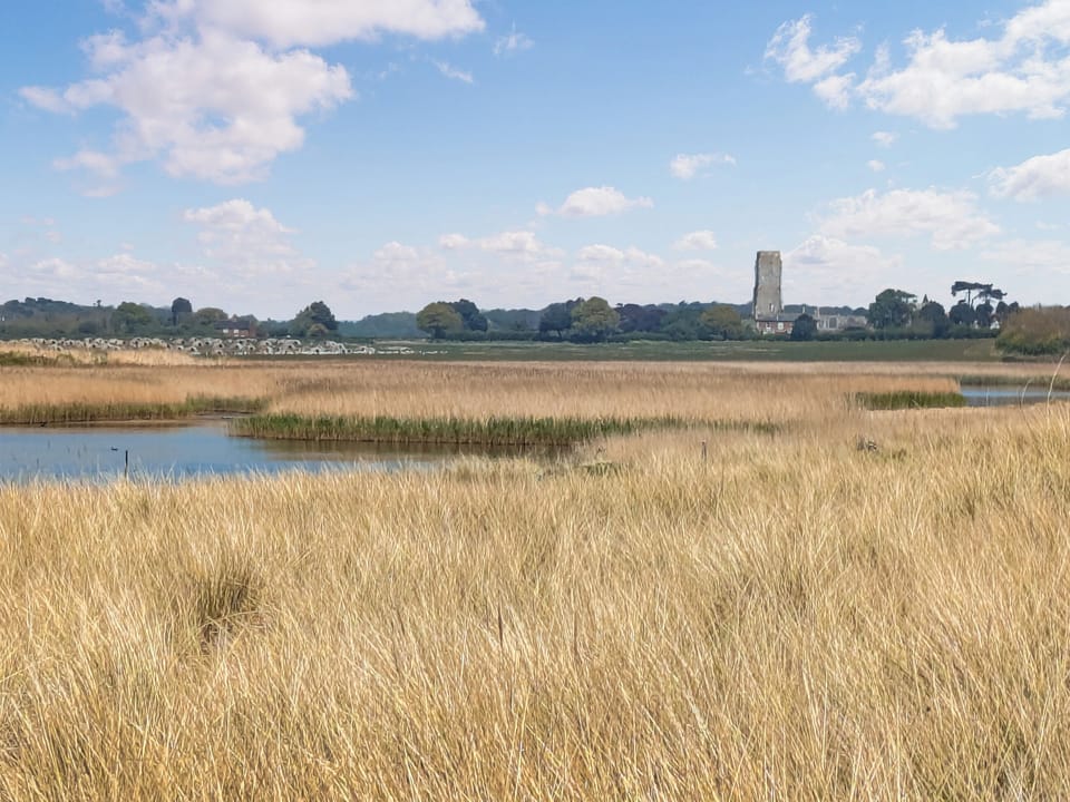 Reed Beds by Covehithe Beach | Dove Cottage - Wissett Place Cottages, Halesworth