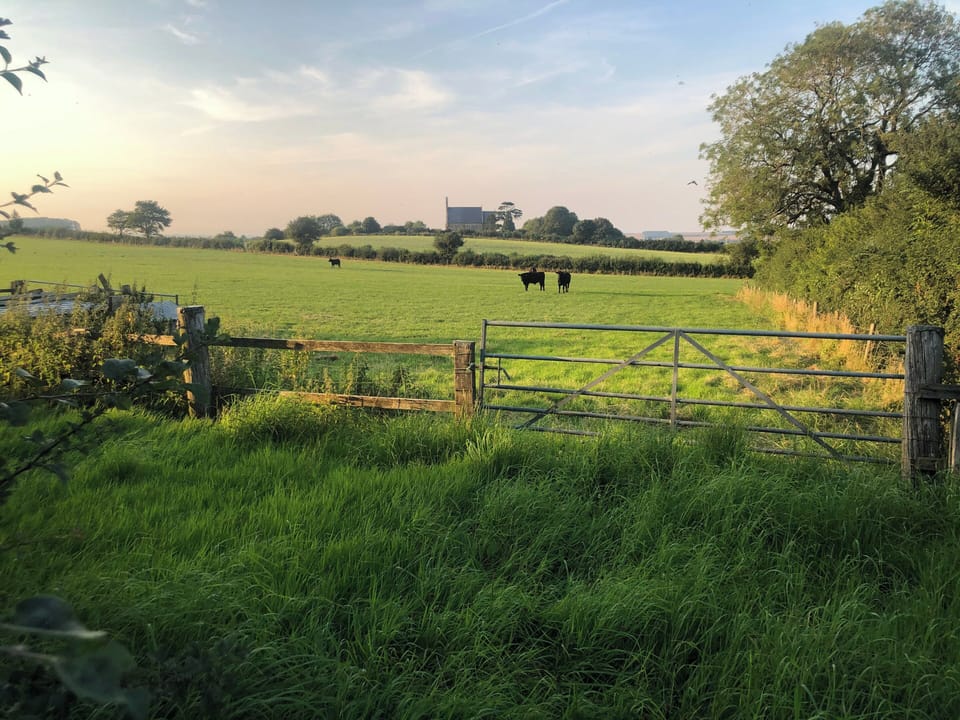 View towards Burythorpe Church | The Old Coach House, Burythorpe near Malton