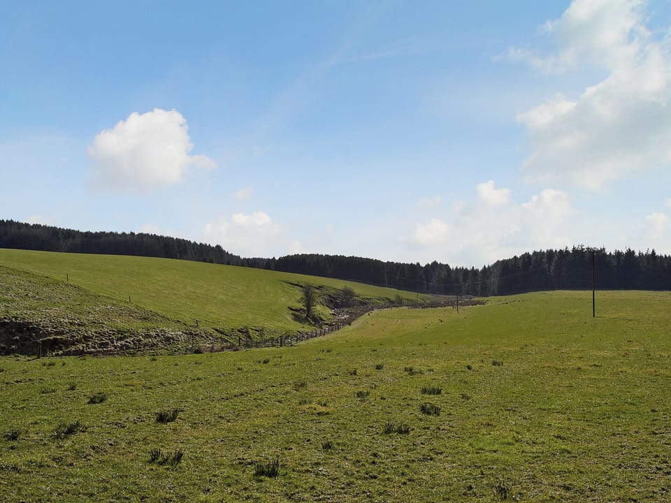 View | Blaeberry Cottage , Nr. Lockerbie