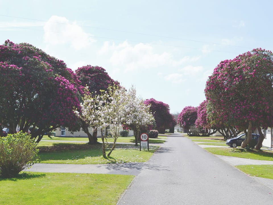 Rosecraddoc Holiday Village | Rosecraddoc Holiday Vi, Liskeard