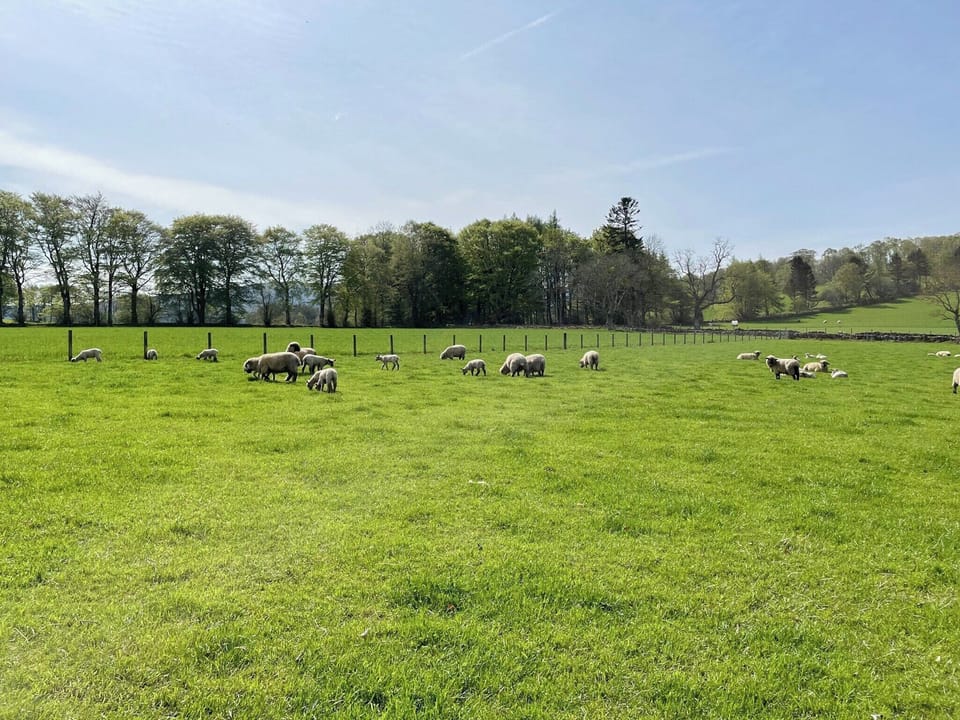 Setting | Longcroft Cottage, Oyne, near Insch