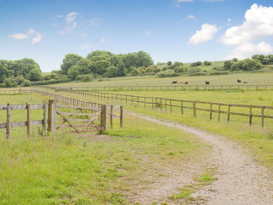 Driveway | Old Milking Parlour, Osmington, near Weymouth