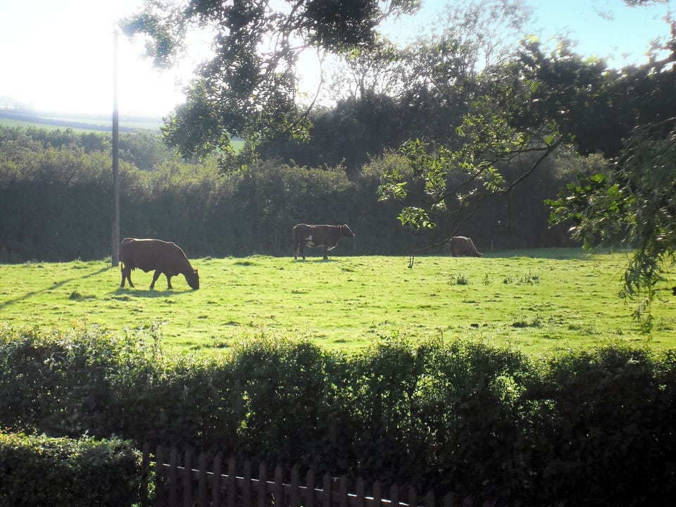 Surrounding area | White Cottage, Hemingby, nr. Horncastle