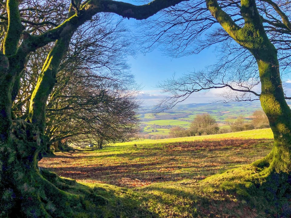 15 min drive to the edge of the Quantocks for stunning walks and views | Dragonfly 2 - Dragonfly Barn, North Newton