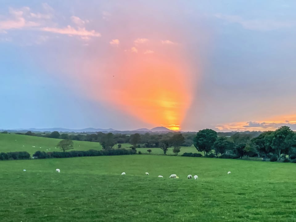 View from kitchen and bedroom windows in Dwyfor and Dwyfach cottages at Aberkin Farm. | Dwyfor - Aberkin Farm, Llanystumdwy, near Criccieth
