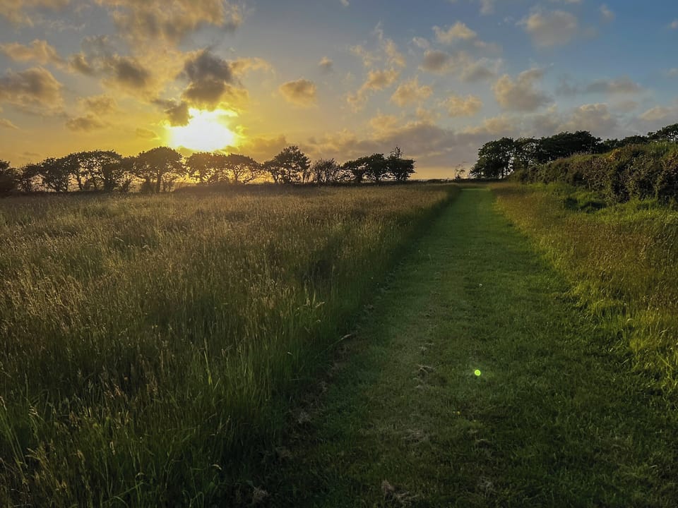 Surrounding area | Badgers Drift, East Taphouse, near Liskeard