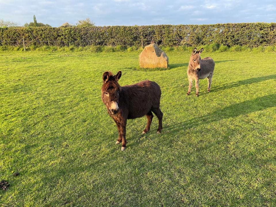 Surrounding area | The Old Carthouse, Near Uttoxeter