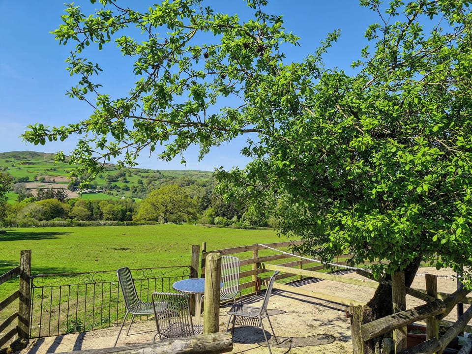 Sitting-out-area | Fedwr Gog, Bala