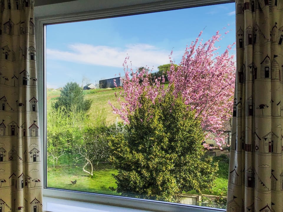 View from the picture window | Buzzards - Briarwood, Bothenhampton, near Bridport