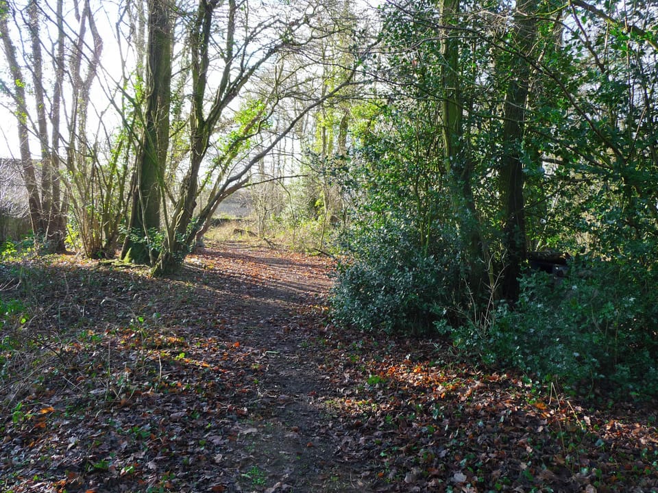 Surrounding area | Wattles, Uplowman, nr. Tiverton