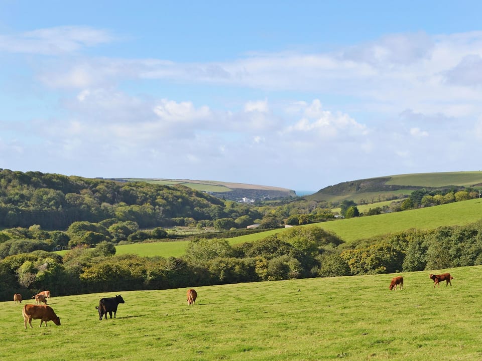 Twin bedded room | Merlin View - Higher Lanvean Farm, St Mawgan, near Newquay