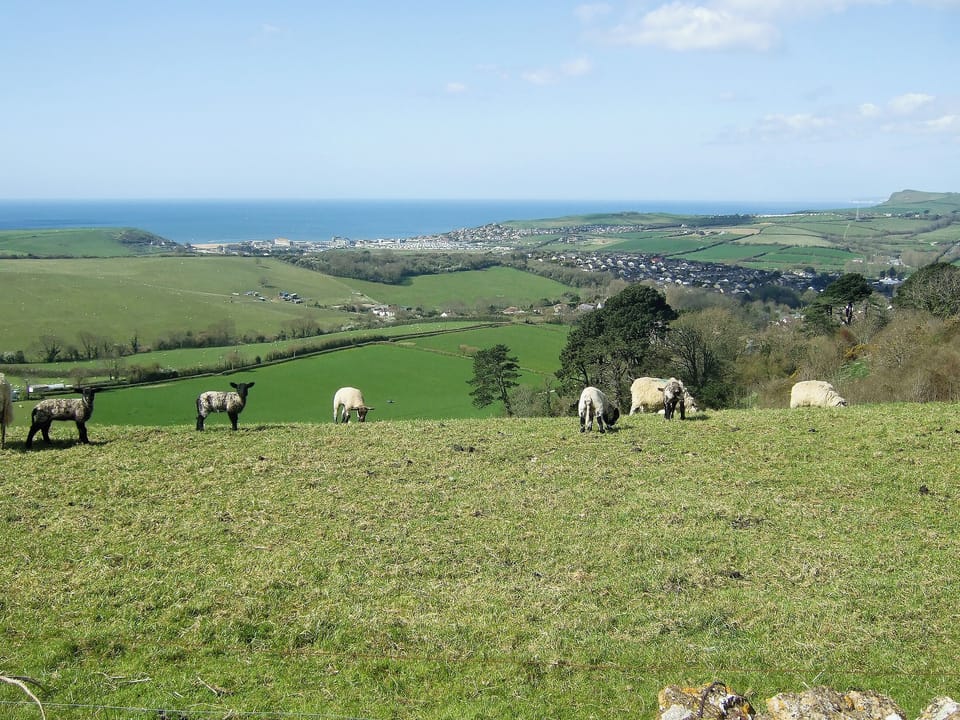 View from hill behind property | Woodbrook Cottage, Bothenhampton, nr. Bridport