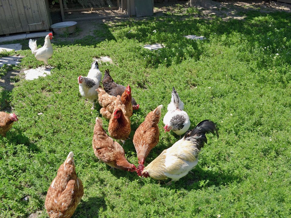 Surrounding area | Lower Marley Farm - Sedlescombe, nr. Battle
