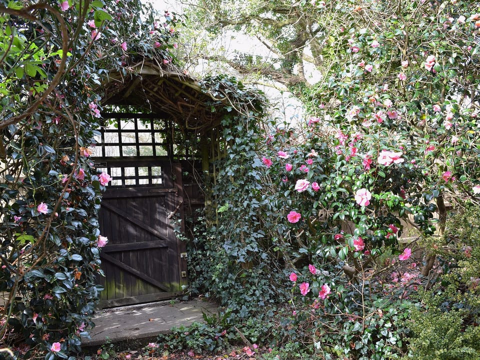 Garden | Heathfield Lodge, Bransgore, nr. Christchurch
