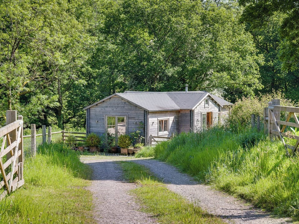 Peaceful holiday home in woodland setting | Ash Mill Cabin, Ashreigney, near Chulmleigh