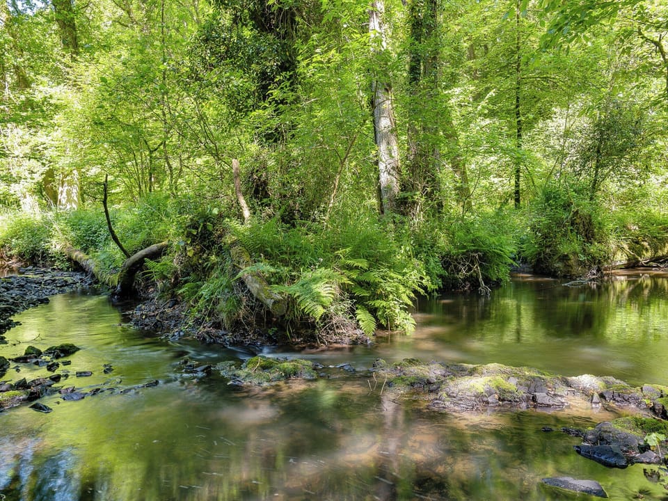 Tranquil surroundings | Ash Mill Cabin, Ashreigney, near Chulmleigh