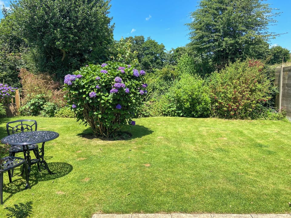 Garden | Sunrise - Little Crugwallins, St Austell