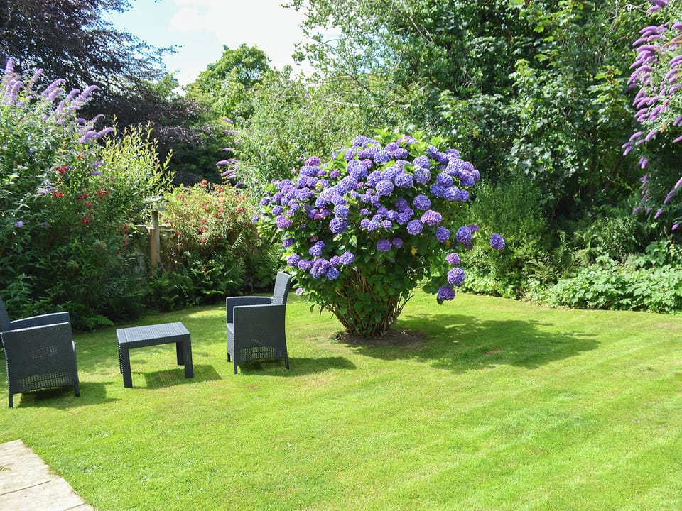 Garden | Sunrise - Little Crugwallins, St Austell