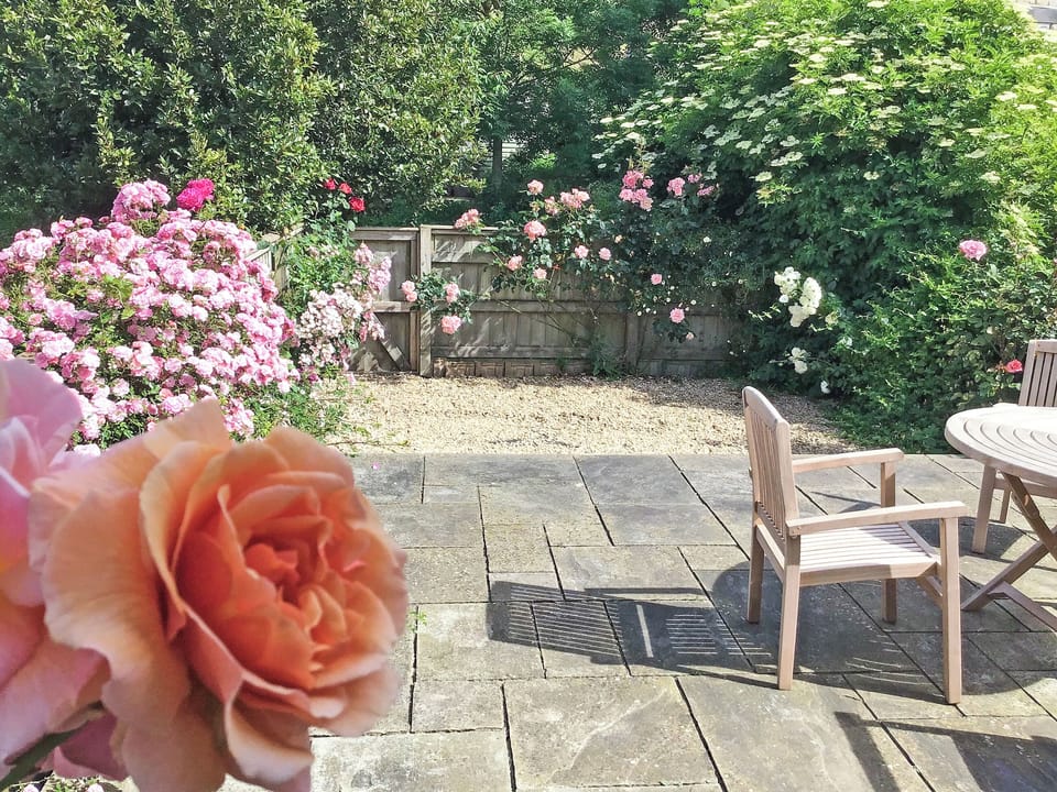Roses in the Garden | Sweet Briar - Briarwood, Bothenhampton, near Bridport